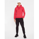 Armani EA7 Felpa con cappuccio Graphic Series 6RPM96 Red