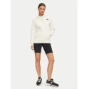 THE NORTH FACE FELPA CON CAPPUCCIO UOMO DREW PEAK SABBIA