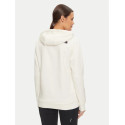 THE NORTH FACE FELPA CON CAPPUCCIO UOMO DREW PEAK SABBIA