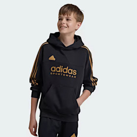 Felpa da bambino Adidas con loghi dorati IY6379