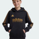 Felpa da bambino Adidas con loghi dorati IY6379