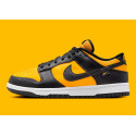 Nike Dunk Low Man FZ4618  Black University Gold