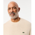 Lacoste Maglione Uomo girocollo in lana cardata AH2916 Azzurro