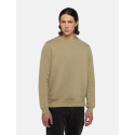 Dickies Felpa Girocollo Man Oakport  A4XCE Salvia