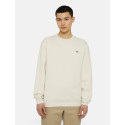 Dickies Felpa Girocollo Man Oakport  A4XCE Panna