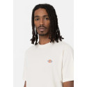 Dickies T-shirt Man Mapleton  A4XDB Panna