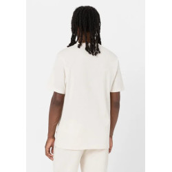 Dickies T-shirt Man Mapleton  A4XDB Panna