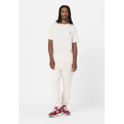 Dickies T-shirt Man Mapleton  A4XDB Panna