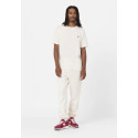 Dickies T-shirt Man Mapleton  A4XDB Panna