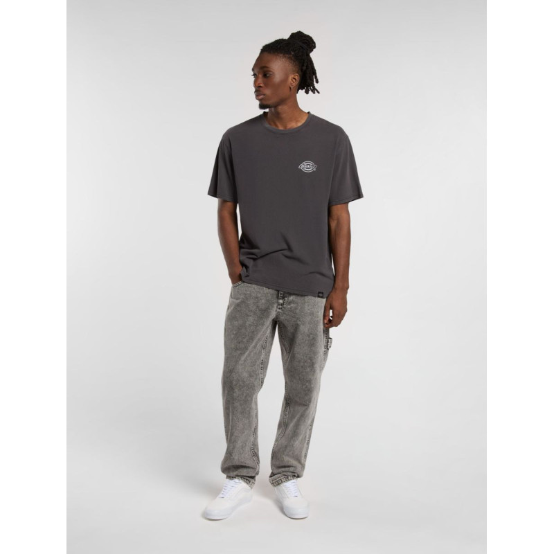 Dickies Jeans  Garyville Denim A4XECJ Black
