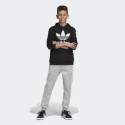 ADIDAS HOODIE TREFOIL DV2870